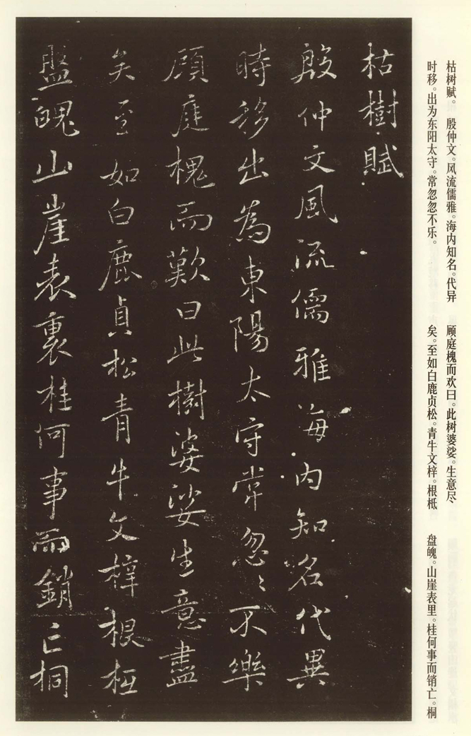 褚遂良《枯樹賦》書法欣賞